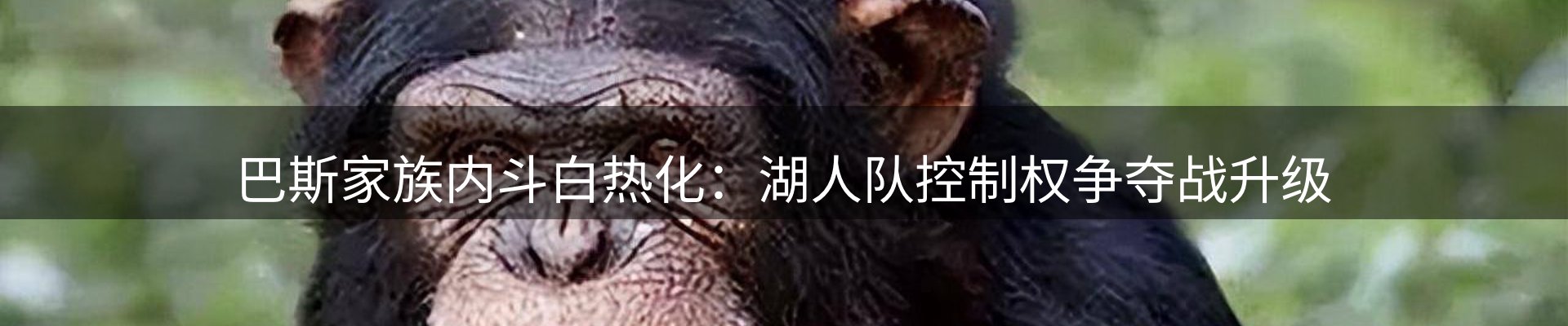 焦点探析