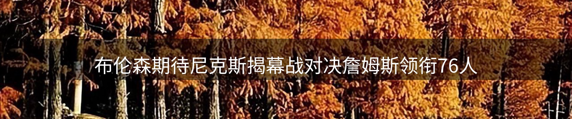 新闻资讯
