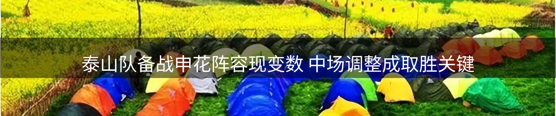 焦点探析