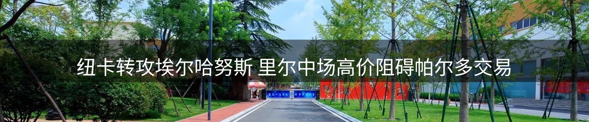 焦点探析
