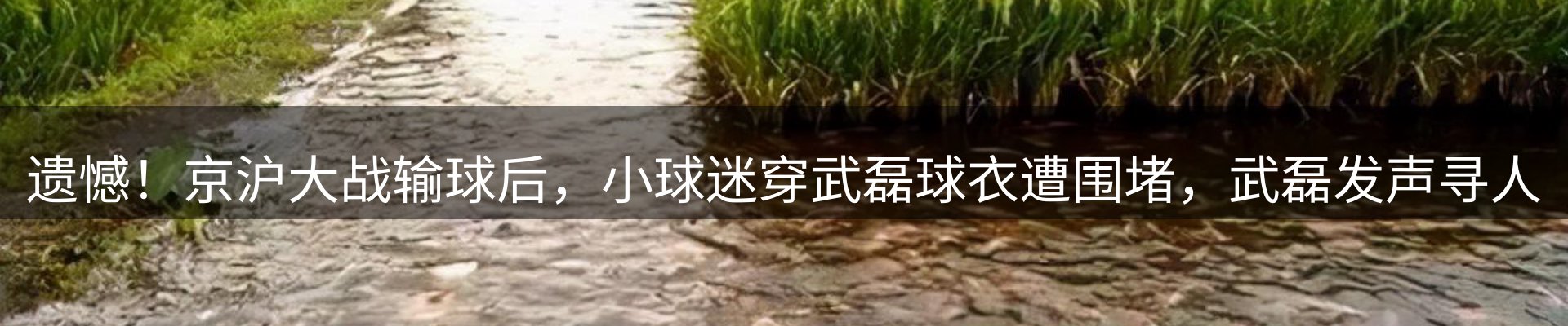 新闻资讯