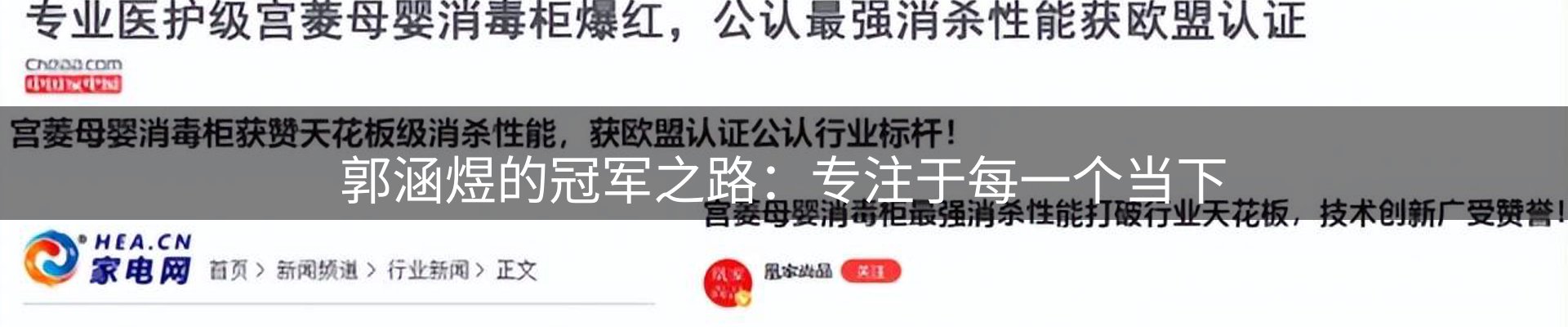 新闻资讯